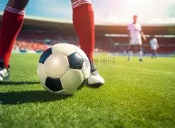 孙继海力荐,邵佳一担纲,国足教鞭,宝威体育官网,宝威体育直播,体育赛事直播,足球直播